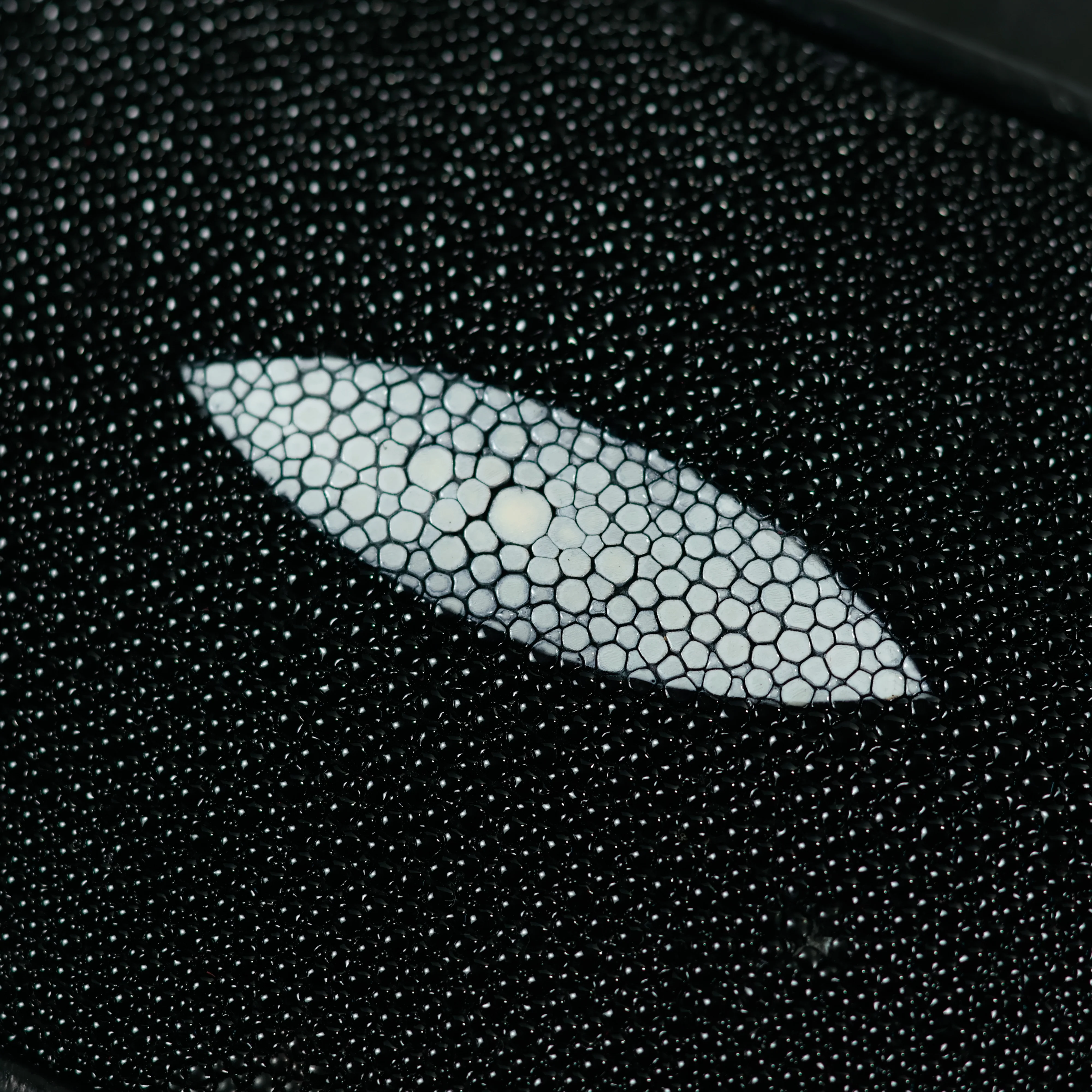 Imagen del producto 11